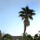 제주타이펜션 이미지