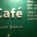 나귀와플라타너스