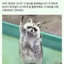 최재천 교수 서울대 졸업식 축사 이미지