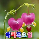 전국택시산업노동조합 동일교통분회 | 신문브리핑 9.25