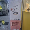 멍쉬멜로 | 배곧'멍쉬멜로'애견동반카페 관심과 사랑으로 방문🥰또는 실내 데이트 추천장소!