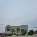 강형욱훈련소 보듬컴퍼니 수영수업참여후기