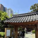 농심식당 | 부산 돌잔치 스냅 폴로니아 농심호텔 돌스냅 후기(가격, 예약팁)