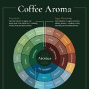 바리스타 실기 (심화) 이미지