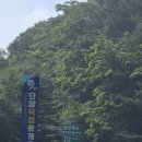 [블랙야크 100대명산] 소백산 등산코스 죽령 원점회귀 후기