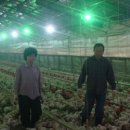 부성농장 이미지