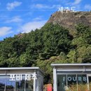 핏과포비의제주 | 제주도 포비 베이글 산방산뷰 서귀포 추천 카페