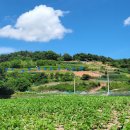 소라초신흥분교장 이미지