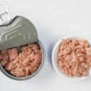 참치뱅크