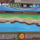 동해안연안녹색길 이미지