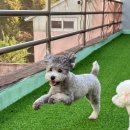 울산유치원 이미지