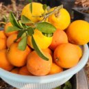 류가농장 이미지