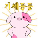 화돈 이미지