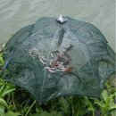 통발
