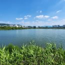 태종마트 이미지