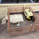 달링하이 포항점 이미지