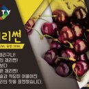 썬베이프 이미지