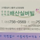 상락정배산실버빌 이미지