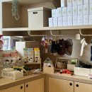 개들랜드 이미지