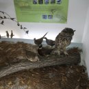 한남대학교 자연사박물관 이미지