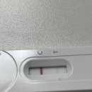 록스라텍스