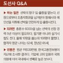부산항도선사 중앙일보