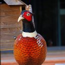 모동초교 이미지