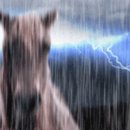 마음애고향 | 2025 서울 국제 도서전 : 믿을구석