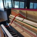 진해신항중학교 이미지