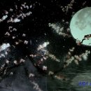 우봉후 | 매화-2026-043. 신안 우봉미술관 - 불긍거후 7인의 매화도 (2026. 04.)