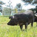 축진농장 이미지