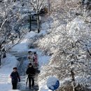 시샘 이미지