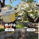 성환농장 | [천안] 직산 배나무숲 배꽃뷰 천안테라스카페 개화시기 배스무디