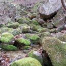 팔공산맥 이미지