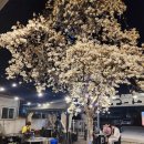 봉곡동300 | 봉곡동 고기 맛집 구미 블루연탄구이 야장 감성 끝판왕 연탄구이 제대로 먹고 온 후기