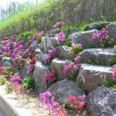 태산조경건설