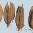 옥산초소로분교 이미지