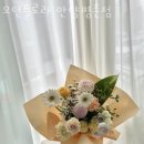 모던플로라 이미지