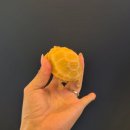 더렙컴퍼니