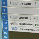 털복숭이친구들 | [유기견 산책 봉사] 털복숭이 친구들과 서울에서 2시간 산책한 후기 1일차 (서울동물복지지원센터)