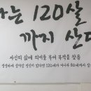 민요판소리 이미지
