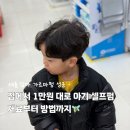 세돌 남아 첫 파마 집에서 성공! 유아 셀프펌 하는 방법, 아기 파마 시기 가격 펌 유지기간