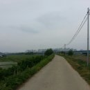 해병 제1상륙사단 이미지