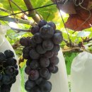 귀중농장 이미지