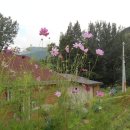 기대리선애빌 이미지