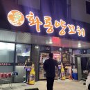 충주 화룡양꼬치 맛있어!