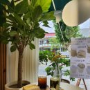 소영카페 샌드위치 이미지