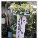 이레세무회계사무소 - 서초구 바우뫼로7길 16 | 이레세무회계사무소
