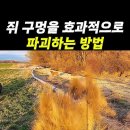 엘피지로 밭쥐 퇴치법 이미지