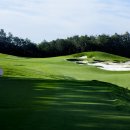 동촌스크린골프 이미지